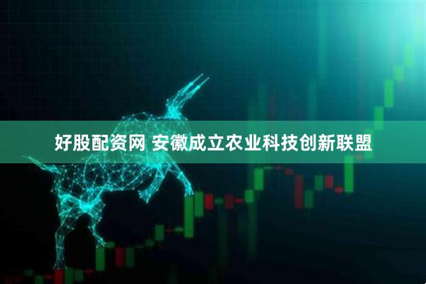 好股配资网 安徽成立农业科技创新联盟